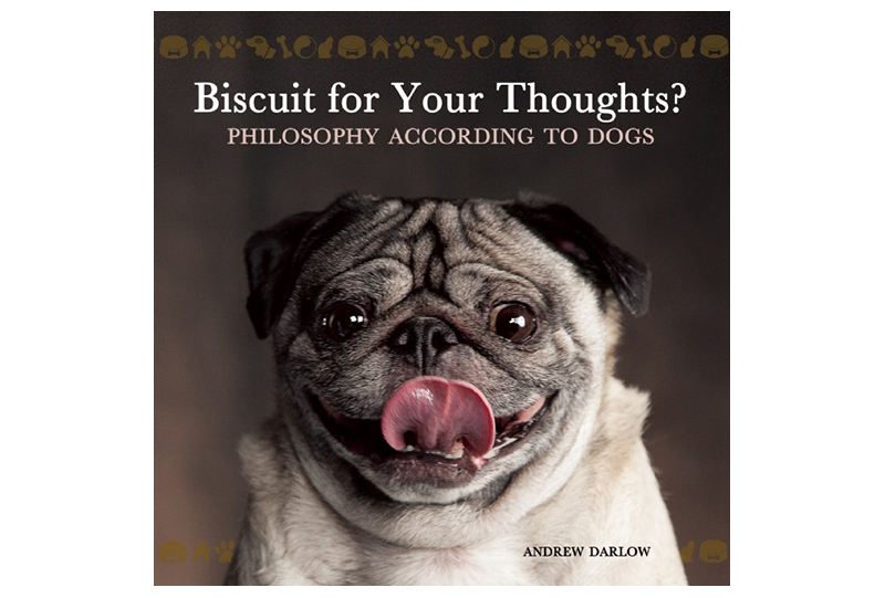 post-biscuit-for-your-thoughts