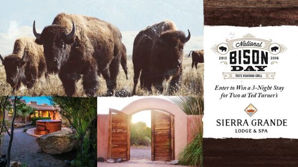 Ted's Montana Grill Celebrates National Bison Day
