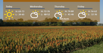 Indianapolis Weather Forecast for October 4, 2022